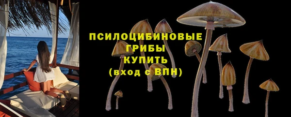 хмурый Волоколамск
